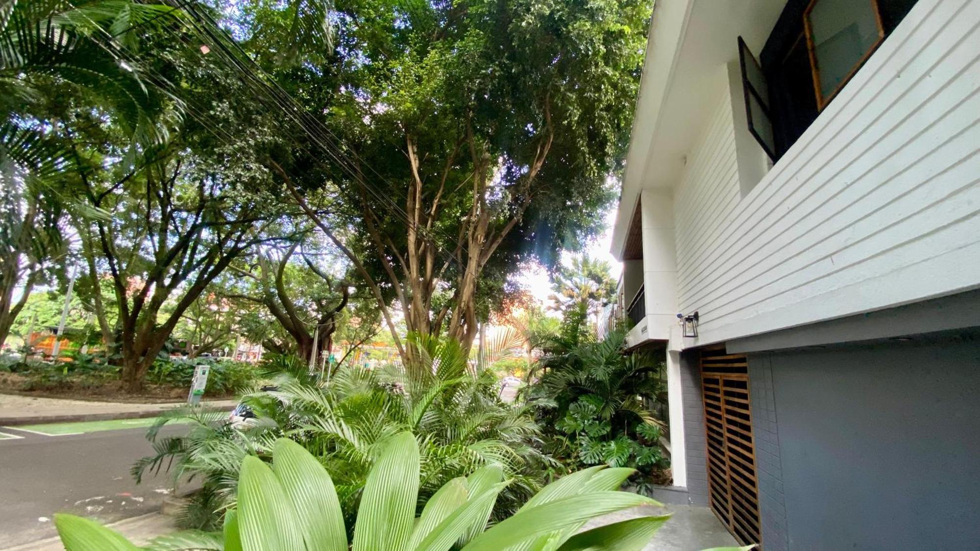 Casa Mosaiko Primer Parque Laureles Medellín Esterno foto